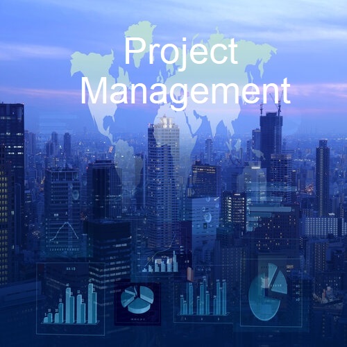 GrafFIN - Project Management